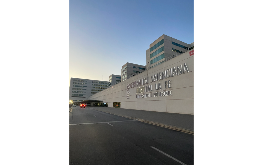 Studiare Fisioterapia a Valencia